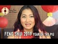 Feng Shui 2019 Year Of The Pig