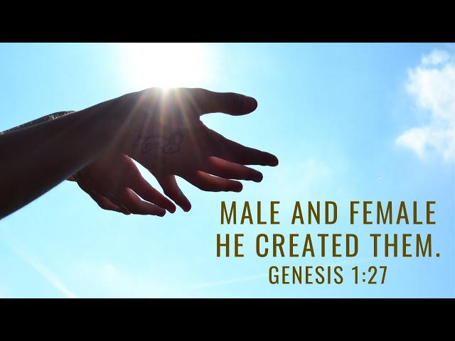 Genesis The Creation Of Woman