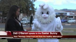The Easter Bunny Goes Nuts