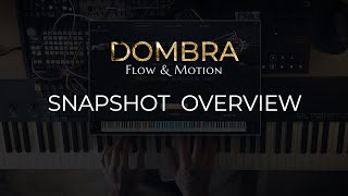 Flow & Motion Dombra - Snapshots Overview
