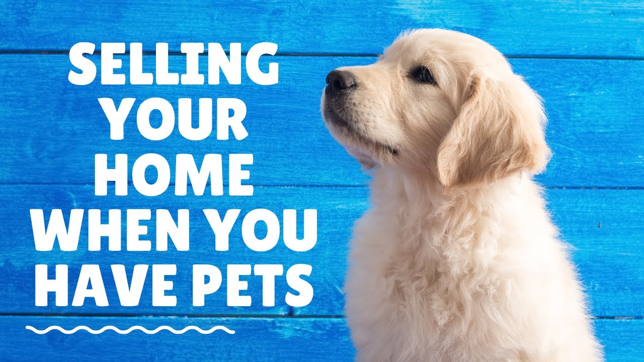 How to Sell Your Home When You Have Pets