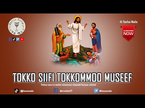 Tokko Siifi Tokkommoo Museef