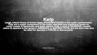 Medical Vocabulary What Does Kelp Mean