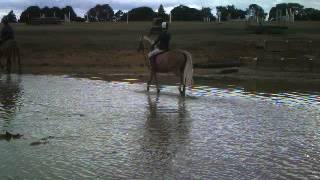 Pally Swalcliffe Grange