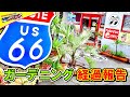 【観葉植物】 ドライガーデン経過報告 アメリカン ザッカ ウェルカム #024