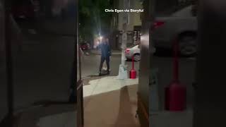 Woman Removes Opossum From Brooklyn Bar