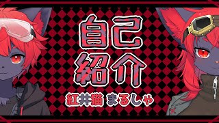 「【自己紹介】改めまして！紅井猫 まるしゃ【Vtuber】」のサムネイル