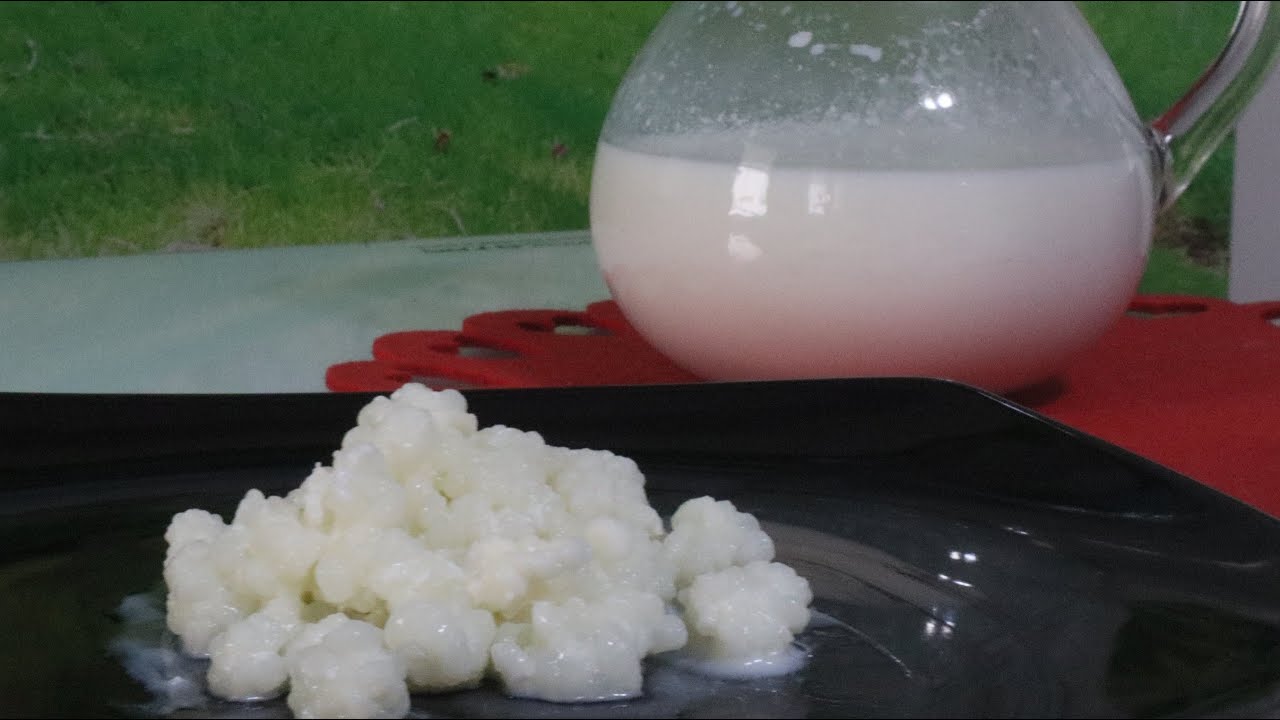 KEFİR NASIL YAPILIR, KEFİR MAYASI NASIL SAKLANIR? - SESLİ ANLATIM