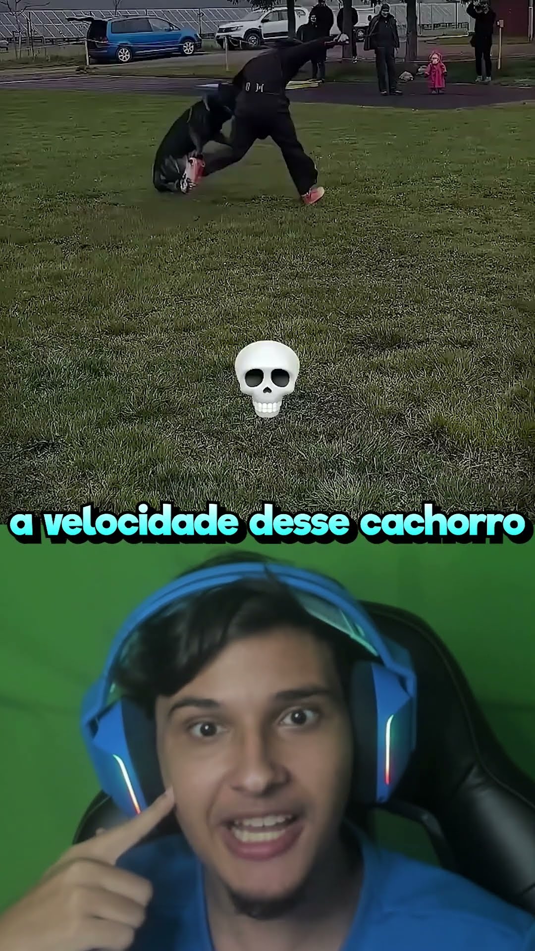 O Verdadeiro Poder dos Animais!