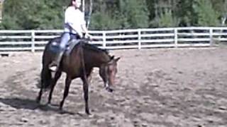 MIA_9_2010.AVI