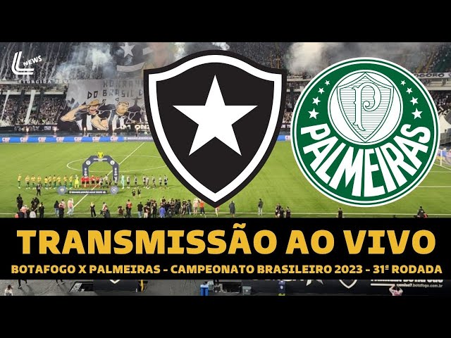 Botafogo x Palmeiras ao vivo: onde assistir ao jogo do Brasileirão online