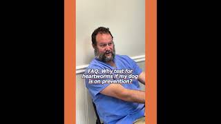 Why Does My Dog Need Heartworm Testing Every Year? Marc Smith, DVM, MS