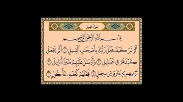 سورة الفيل بصوت القارئ إسلام صبحى #القرآن_الكريم #مما_قرأت