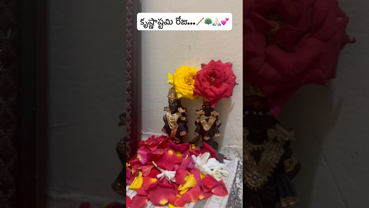 ✨🦚 Krishnashtami | Sri Krishna Janmashtami 🦚✨
On this aus