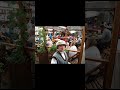 Старинные улицы, музыка и искусство. Дни Старого города Таллинна. Ресторан Olde Hansa.