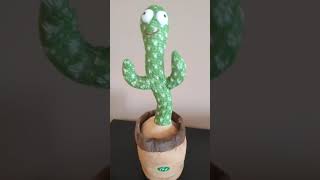 Le cactus qui chante en polonais des injures et parle de drogue