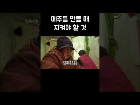 짝을 맞추면 안되는 메주 #shorts