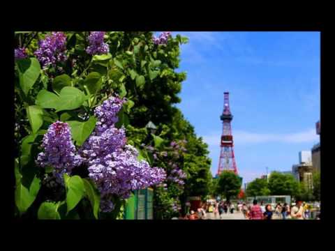 編曲教學 リラの香る季節になれば（さとうささらオリジナル）