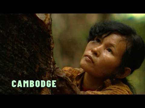 Who are the forest raiders in Cambodia?