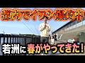 【若洲海浜公園】GWお薦め釣り場！サビキ釣りでイワシが入れ食い状態！まさかの復調…