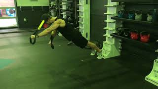 TRX Flutters