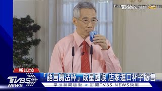 搏感情?地緣政治? 掌握「語言魔法杯」! 星國總理需精通英中馬3語言｜TVBS新聞 @TVBSNEWS01