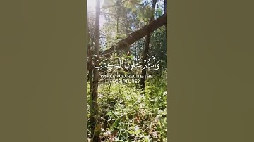 ارح قلبك و أستمع 💛🌹#تلاوة_خاشعة #راحة_نفسية #قرآن #قران_كريم #كرومات #قراءة #ادعموني #ماهر_المعيقلي