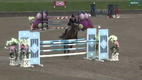 Video of Wirco Polo ridden by Nona Garson from Sho...