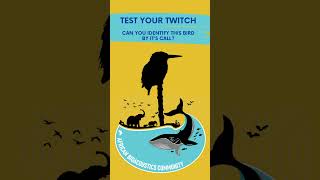 Test your twitch! Can you identify this bird by its call?