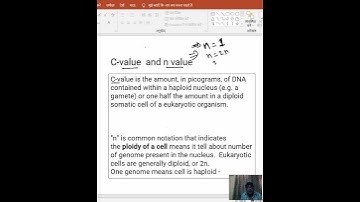 what does C value mean in a cell, what does (n) value mean in a cell. Biology for NEET