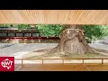 Meditation Pavilion at Ueno Tosyogu Shrine - Vlog EP1