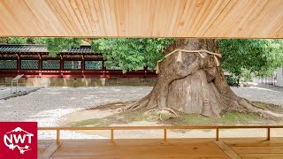 Meditation Pavilion at Ueno Tosyogu Shrine - Vlog EP1