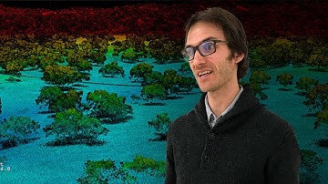 Introduction to Discrete Lidar & NEON Lidar Data: A Presentation