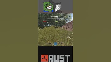 Rust Pain in a Nutshell...😤 #gaming #rust #rustgameplay #rustconsole #rustmeme #rustpvp #rustclips