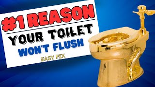 #1 Reason Your Toilet Doesn't Flush Properly