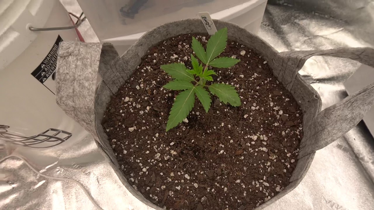 Growers choice roi e 720 master controller