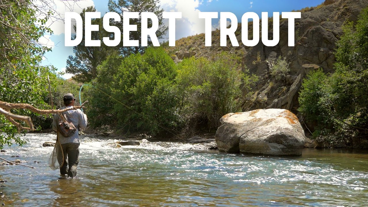 Weekend in Idaho’s High Desert | Fly Fishing & Camping for Trout