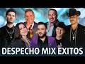 Despecho Mix Exitos - Jessi Uribe, Espinoza Paz, Pipe Bueno, Dario Gomez, Arelys Henao, Luis Alfonso