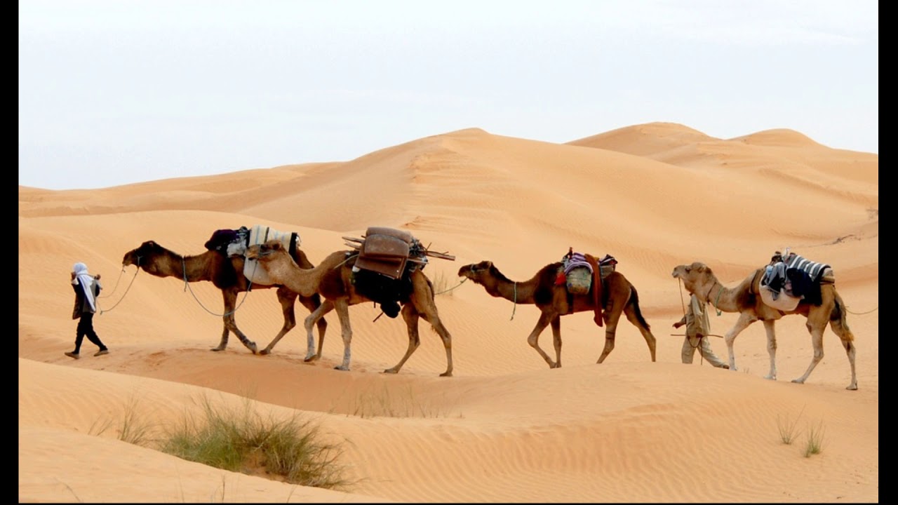 the-child-and-the-camel-accompanied-by-a-beautiful-relaxing-calm-piano