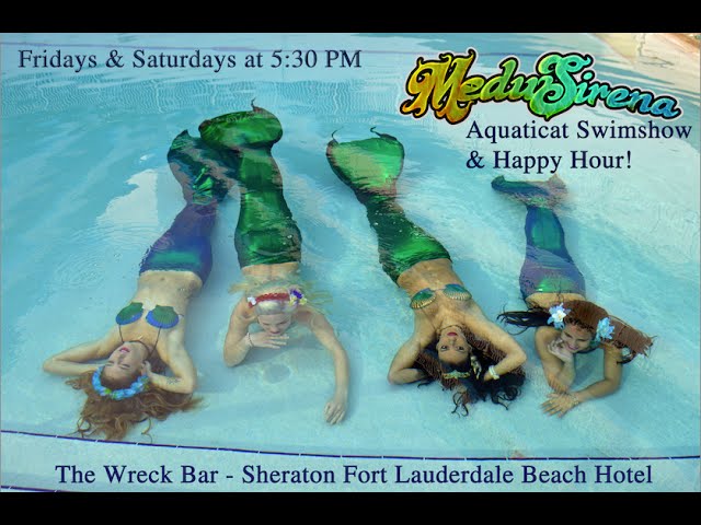 Sheraton Fort Lauderdale Beach Hotel Mermaids SHERATON FORT LAUDERDALE