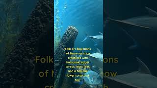 Legend Of The Nommos shorts sirius