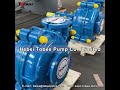 Tobee® Electric Sand Sucker Mineral Processing Slurry Pump