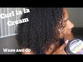 One Prouct Wash and Go: Aunt Jackie's Curl la la Defining Custard