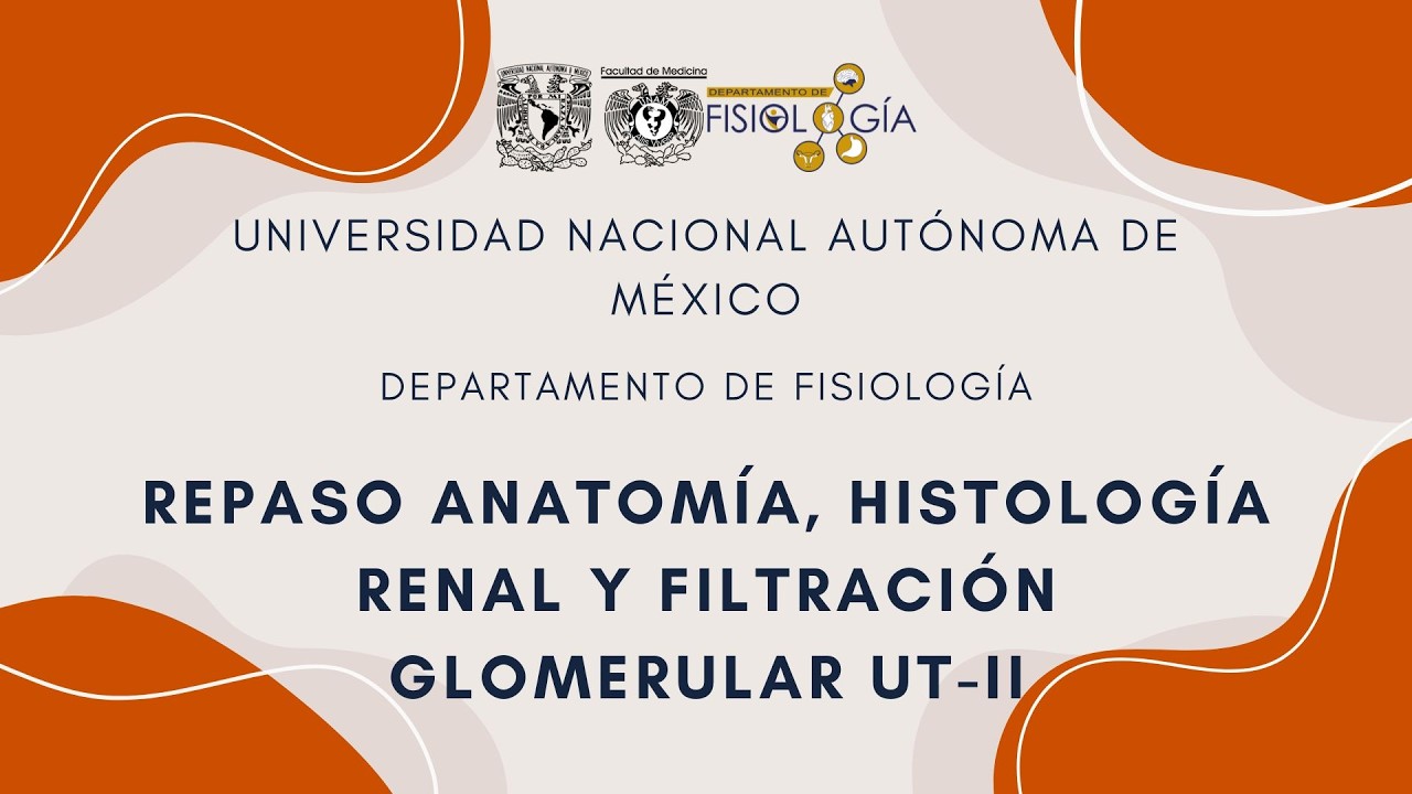 REPASO ANATOMÍA, HISTOLOGÍA RENAL Y FILTRACIÓN GLOMERULAR UT-II