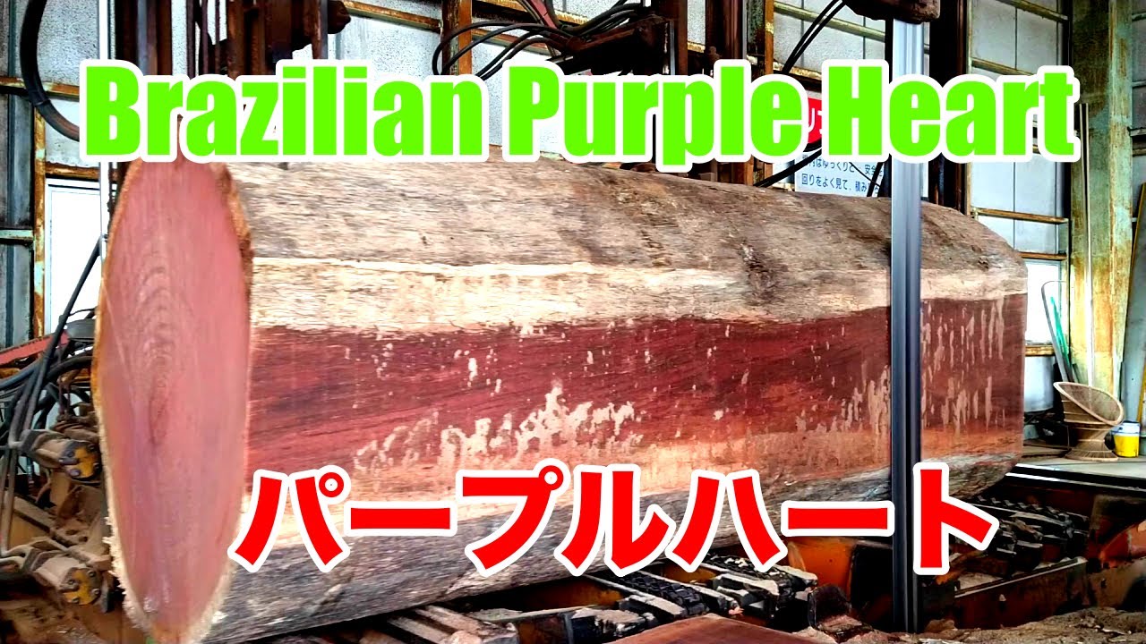 ブラジル産のパープルハートです。Brazilian purple Heart - YouTube