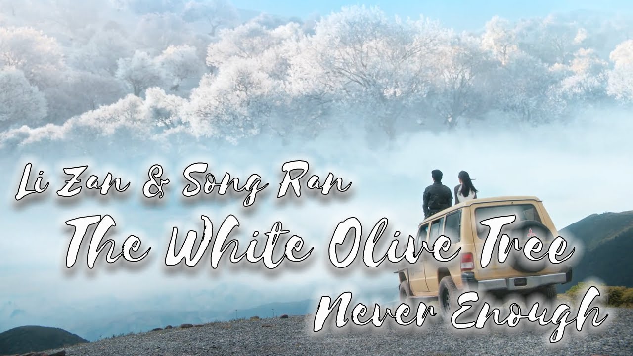 The White Olive Tree 🕊️ Li Zan & Song Ran 🕊️ Never Enough 🕊️ FMV - YouTube