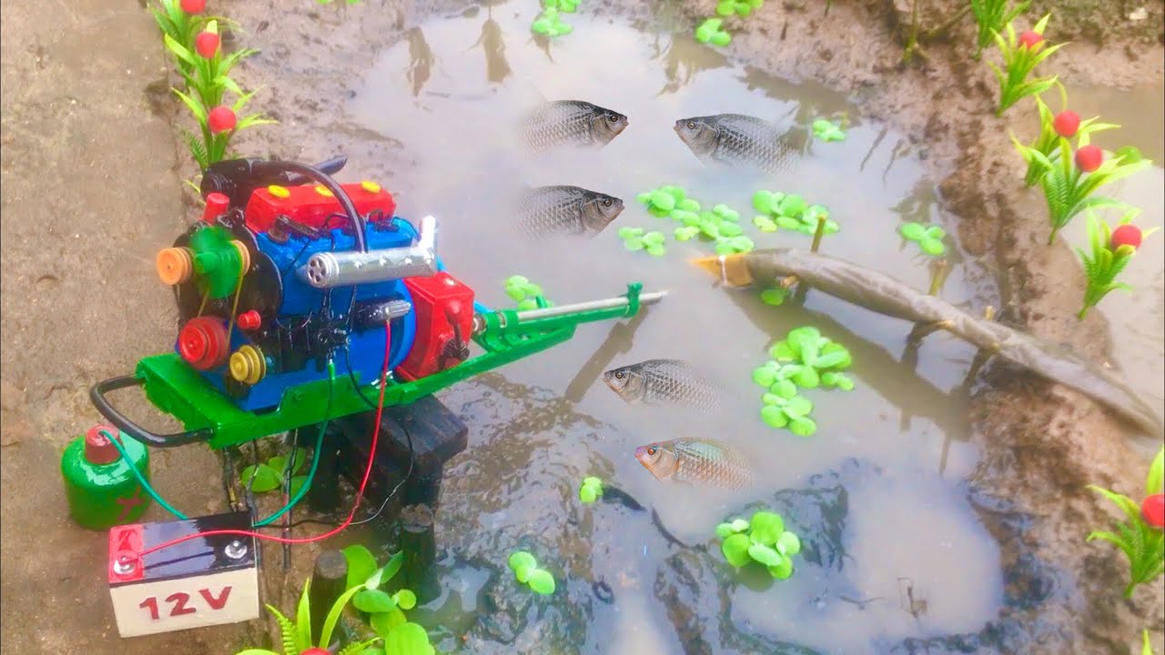 Máy Bơm Nước Động Cơ Diesel Tát Ao Bắt Cá | Máy Xe Mini | Kênh Độ Chế TV