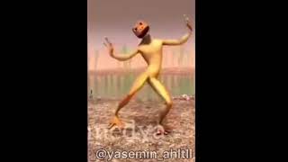 Renkli̇ Kurbağa Dansi - Akimi 2020