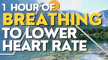 1 Hour of Breathing to Lower Heart Rate (4-2-8-2)