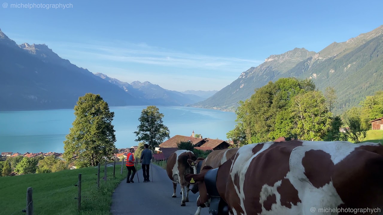 Alpine descent Brienz Rotschalp 4K